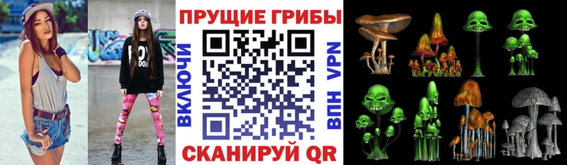 Галлюциногенные грибы Psilocybine cubensis  Купить закладки  Касимов 